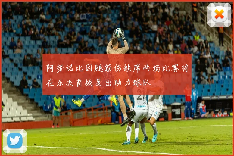 阿努诺比因腿筋伤缺席两场比赛将在东决首战复出助力球队