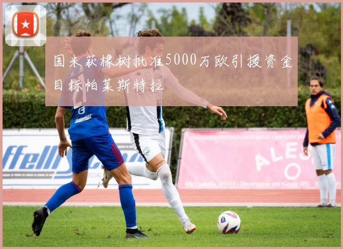 国米获橡树批准5000万欧引援资金目标帕莱斯特拉
